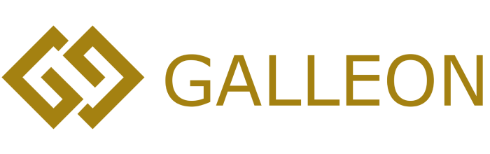 ガレオンシステム株式会社